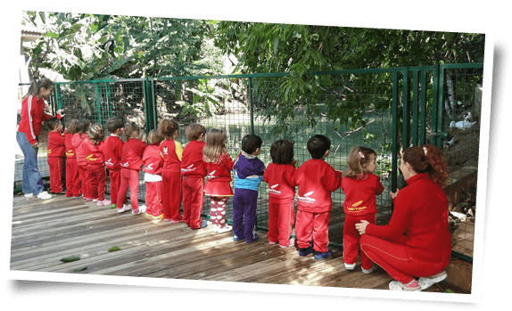 Deck do Lago dos Patos - Jardim e Pré - de 3 a 5 anos